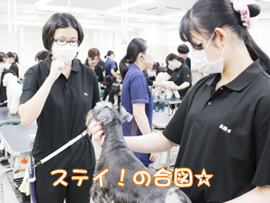 1年生が継続してステイの練習！